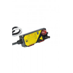 Комплект радиоуправления TOR F21-4D (380В, 4 кнопки, двухскоростной)