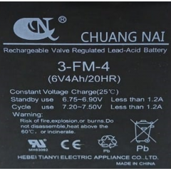 Аккумулятор для тележки WH-25ES 6V/4Ah свинцово-кислотный (WET battery)