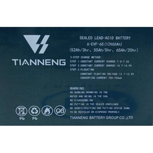 Аккумулятор для тележек WPT15-2 12V/65Ah гелевый (Gel battery)
