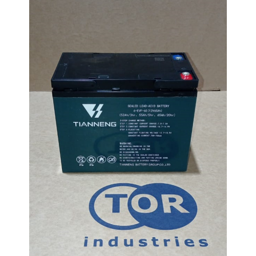 Аккумулятор для тележек WPT15-2 12V/65Ah гелевый (Gel battery)