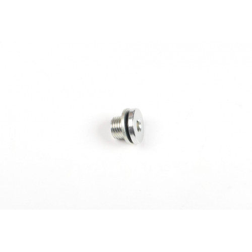 9 Винт гидравлического узла для самоходной тележки EPT (Plug Screw 30202054)