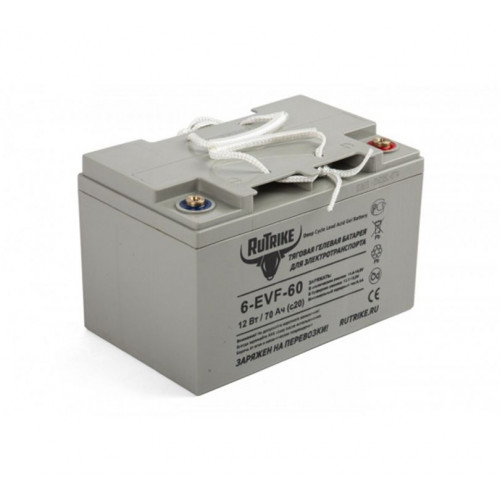 Аккумулятор для тележек JFD8 12V/100Ah гелевый (Gel battery)